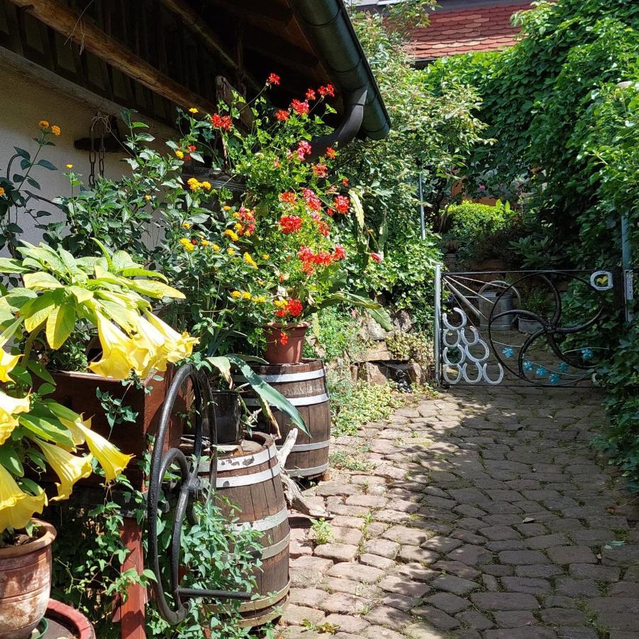 Beim Schlafwandler Appartement Karlsbad Buitenkant foto